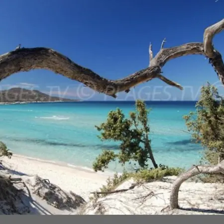 شقة Calme A 2 Km De Saint-florent *