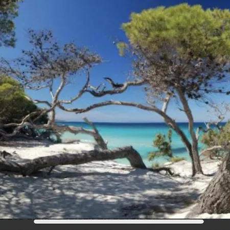 Résidence Calme à 2 Km De Saint-florent Oletta (Corsica)