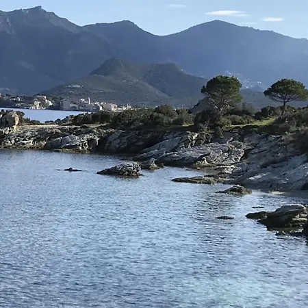 Calme A 2 Km De Saint-florent Appartement